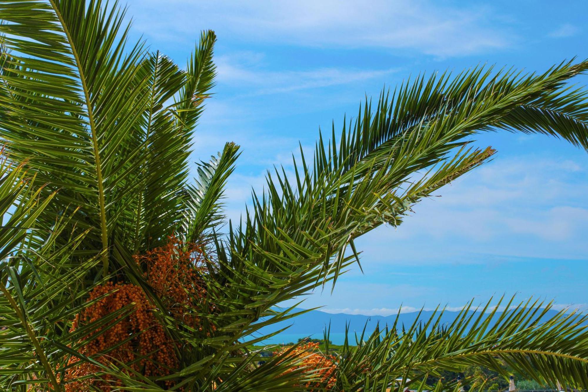 Hotel Argentario Osa 3*