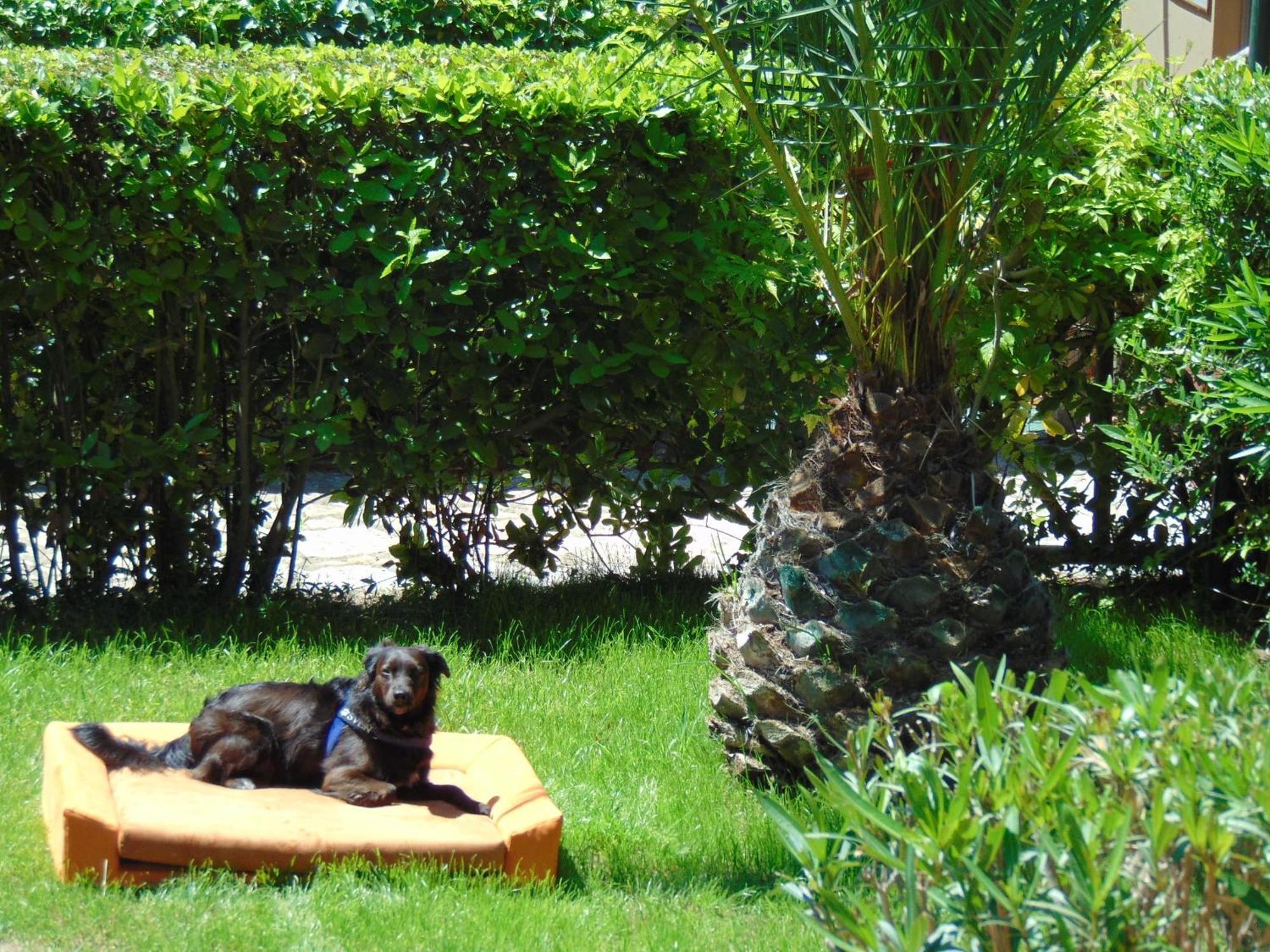 Argentario Osa Hotel